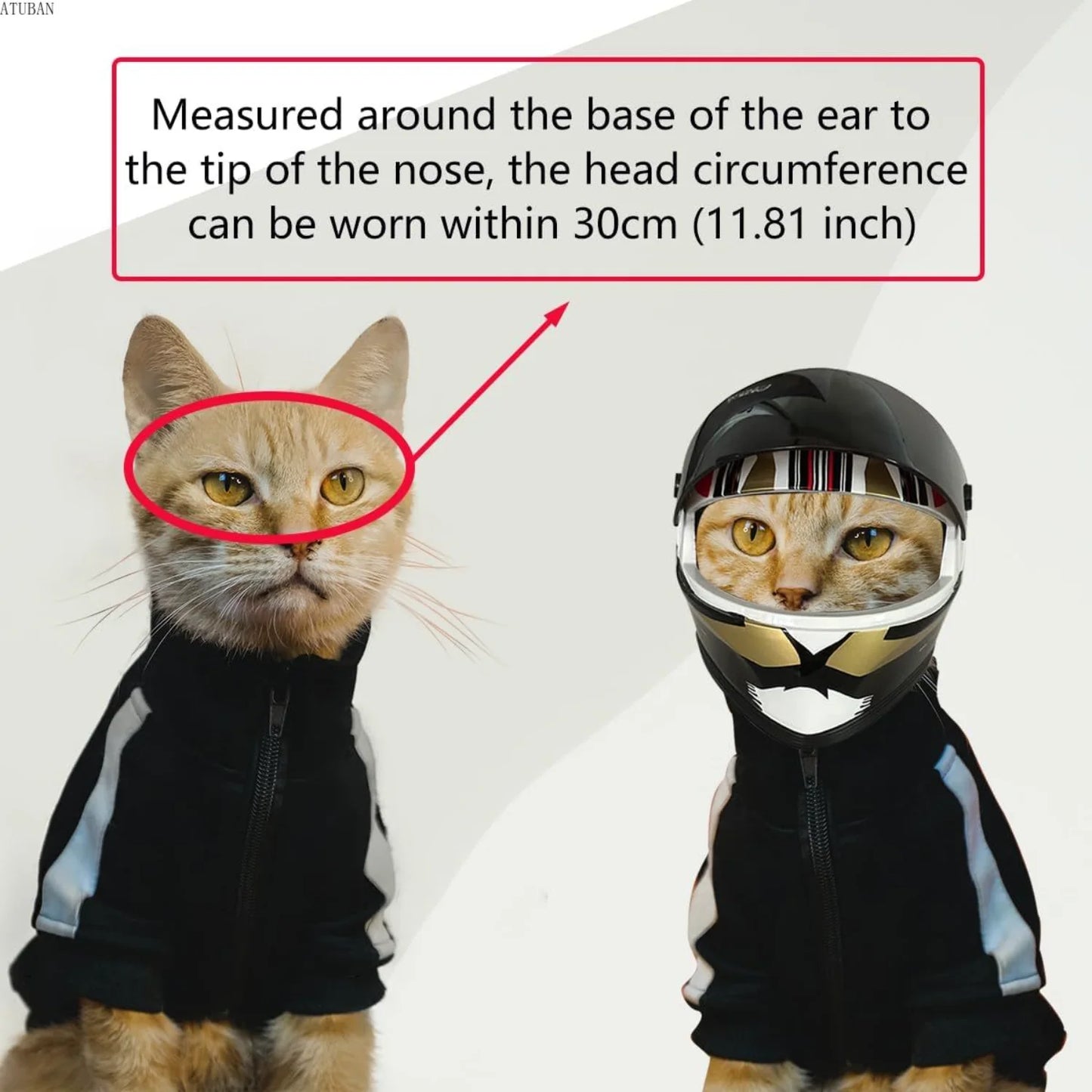 Protective Helmet for Dogs and Cats