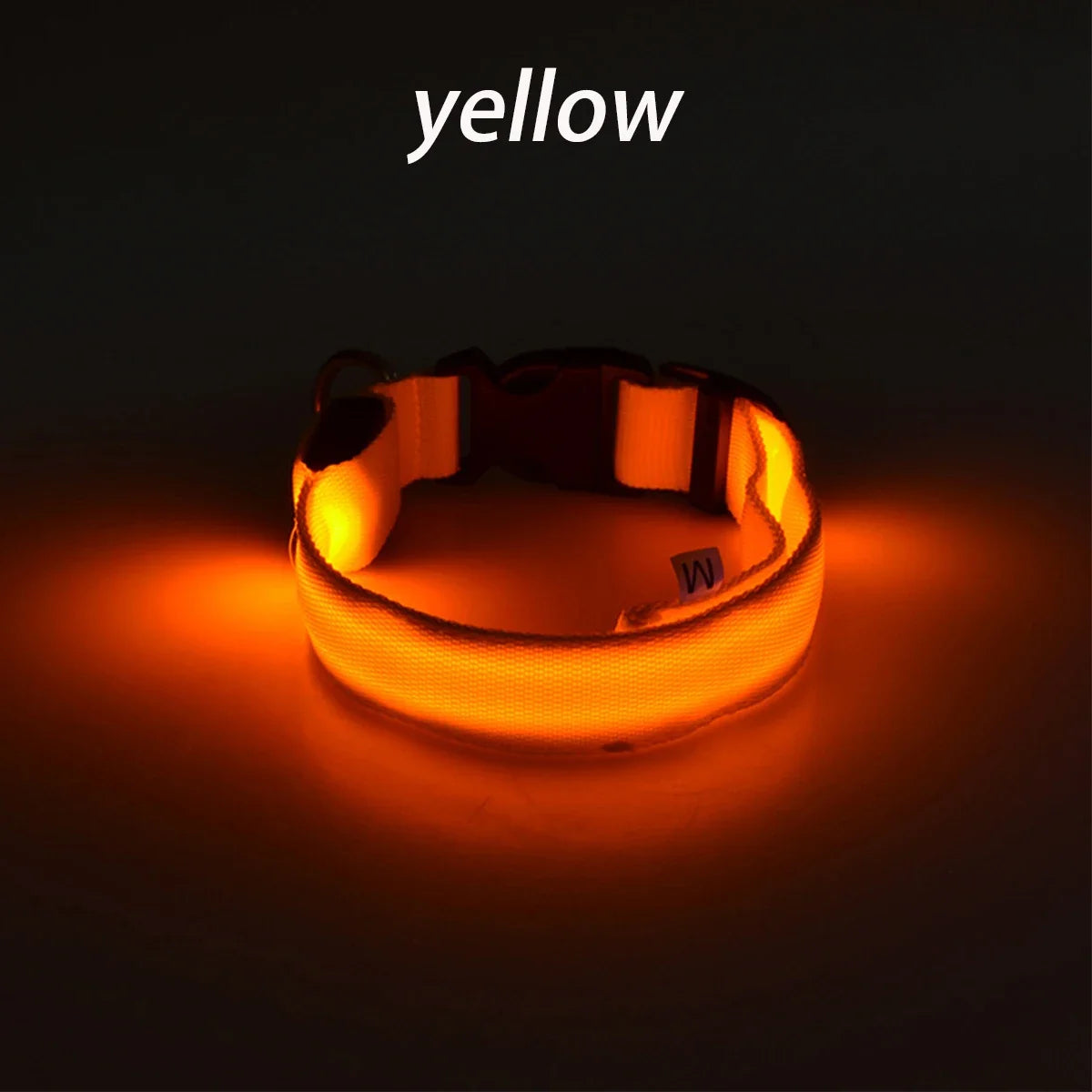 Nylon LED Night Safety Flashing Dog Leash