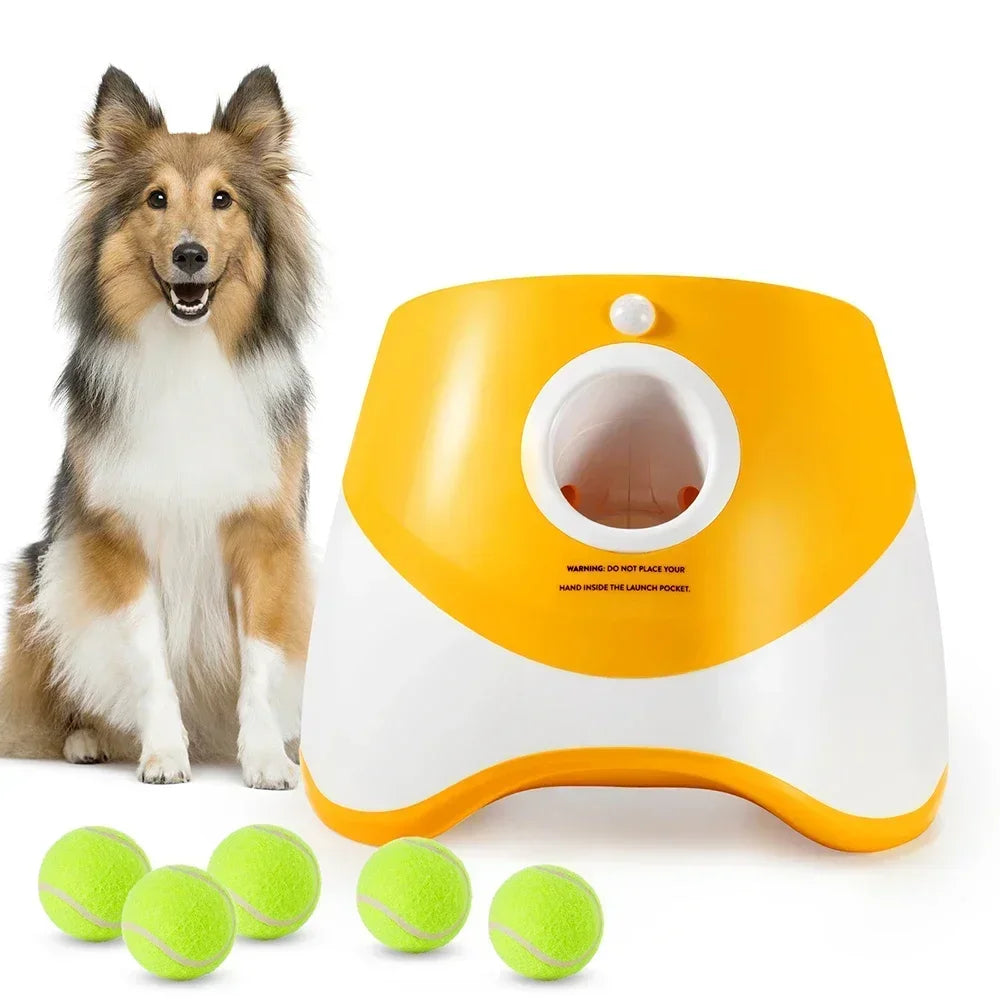 Automatic Ball Launcher Toy