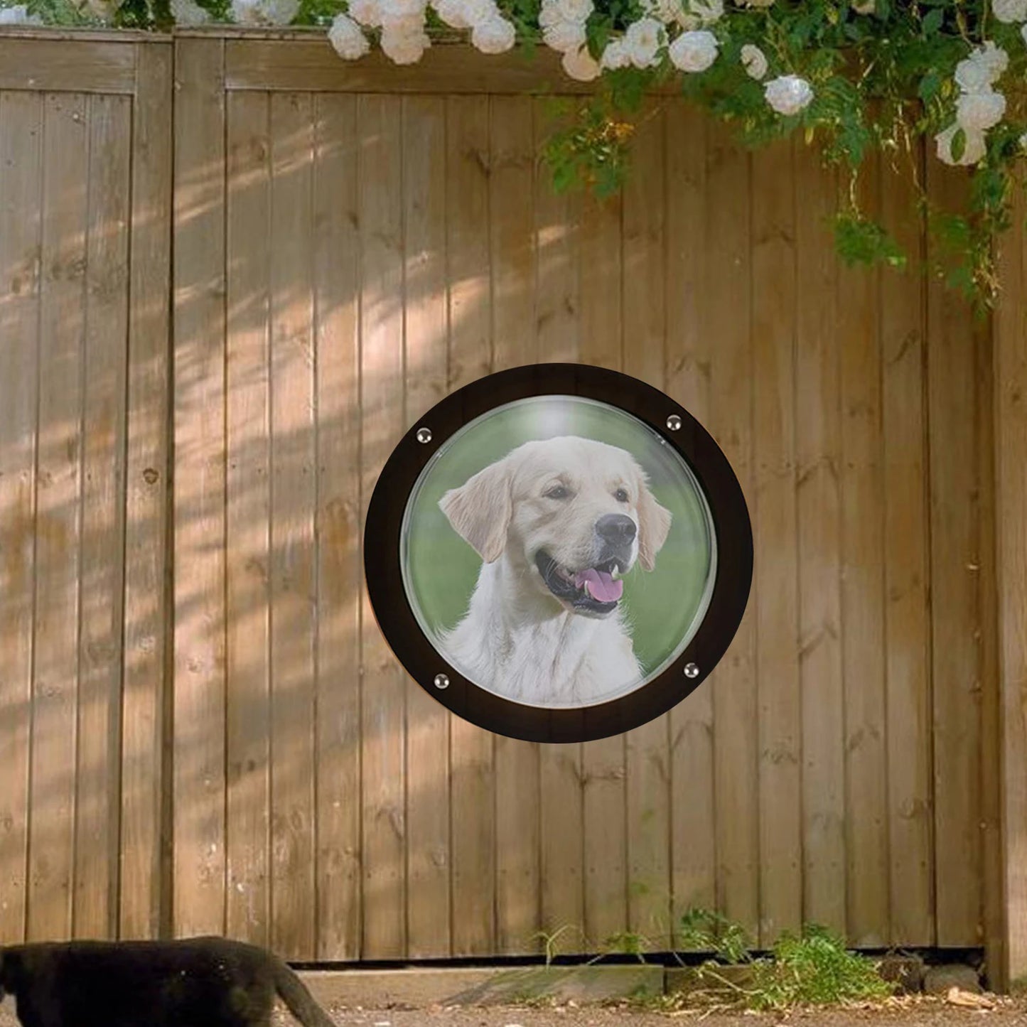Pet Porthole Window for Dogs