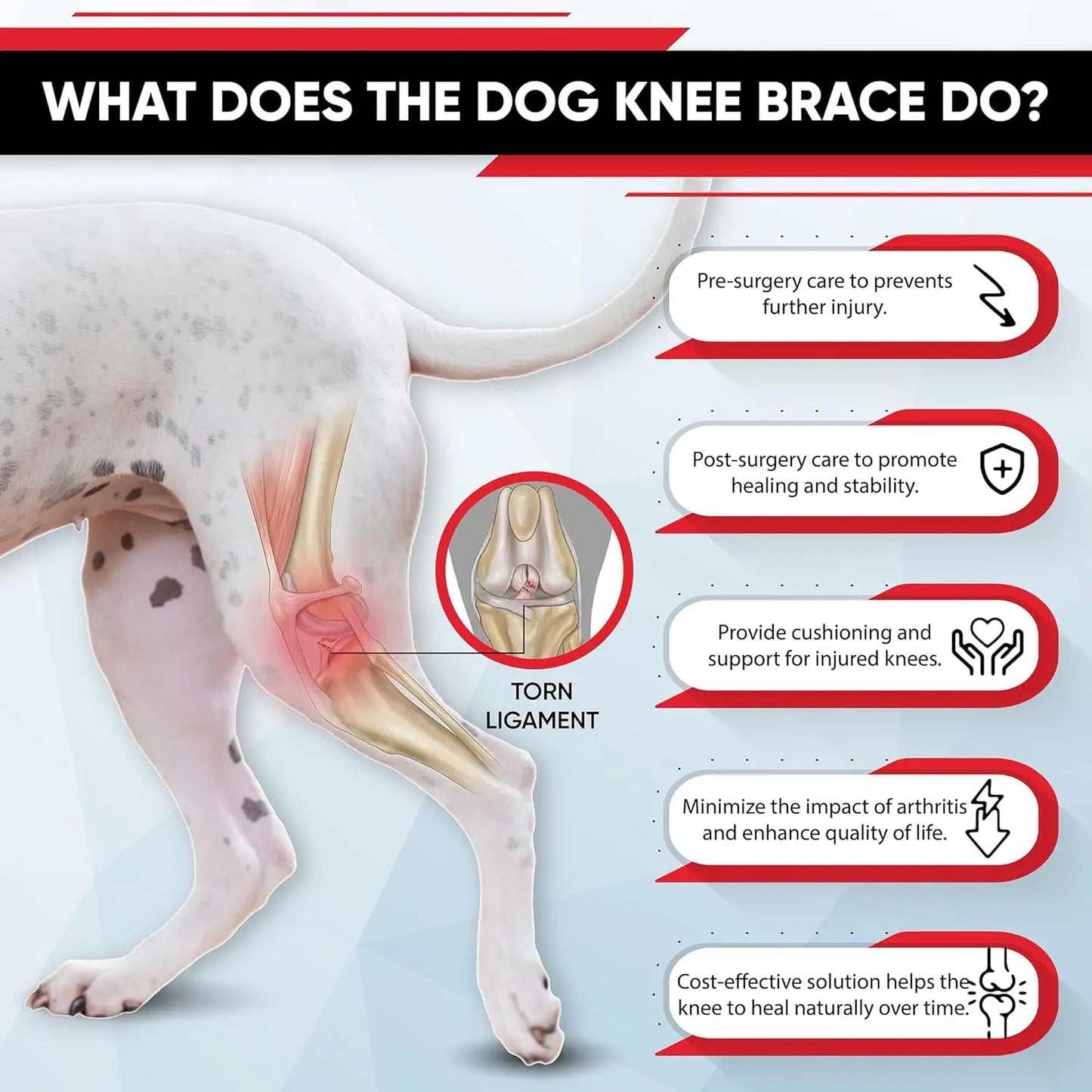 Dog Leg Support Brace (Knee Hip Joint)