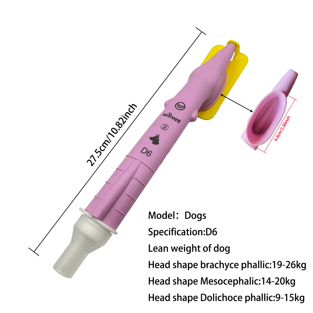 Canine Tracheal Intubation of Anesthesia Gas
