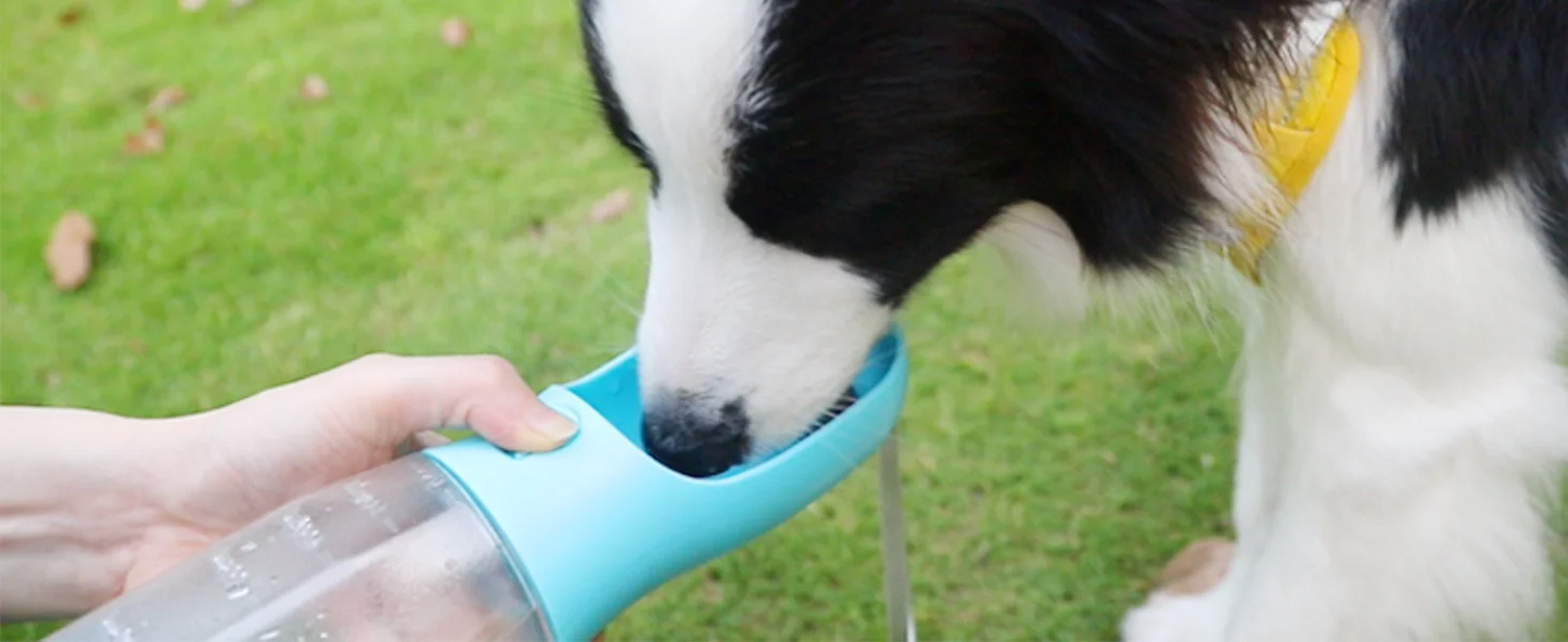 Outdoor Adventure Pet Water, Food & Waste Carrier