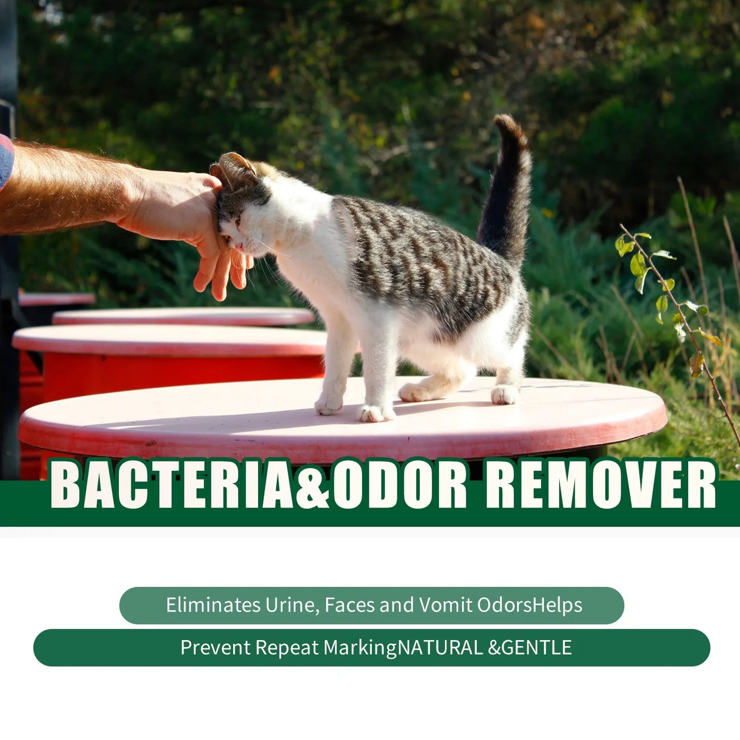 Lavender Oil Pet Deodorization Spray 50ml