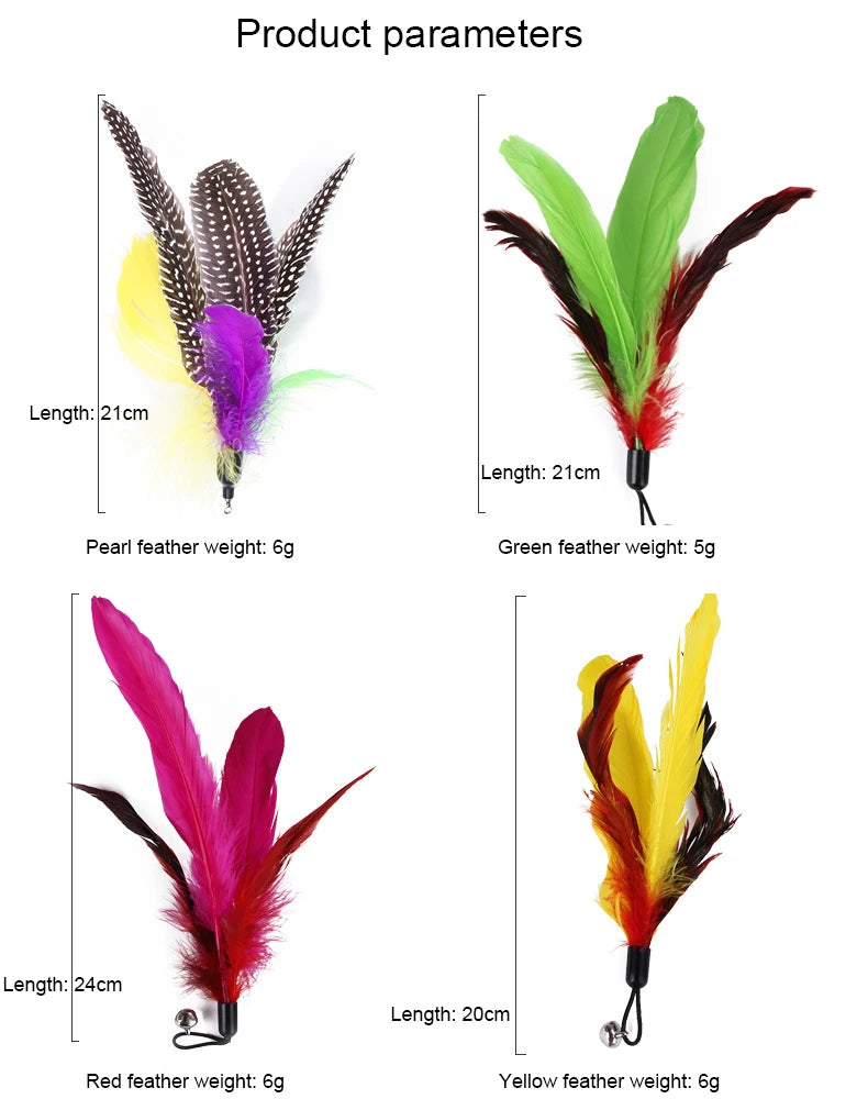 11 Piece Cat Feather Toy Replacement Set