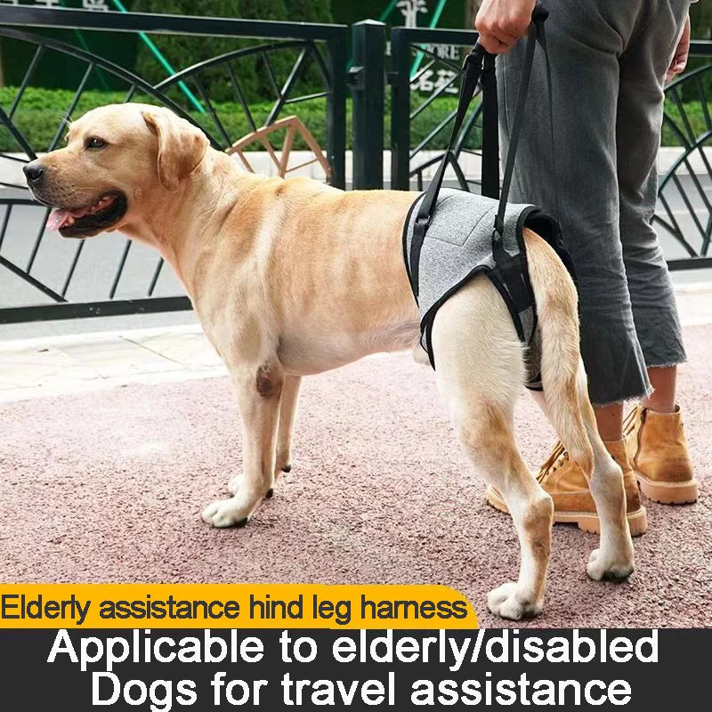 Adjustable Hind Leg Support Strap for Pets