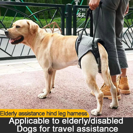 Adjustable Hind Leg Support Strap for Pets