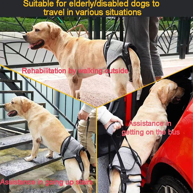 Adjustable Hind Leg Support Strap for Pets