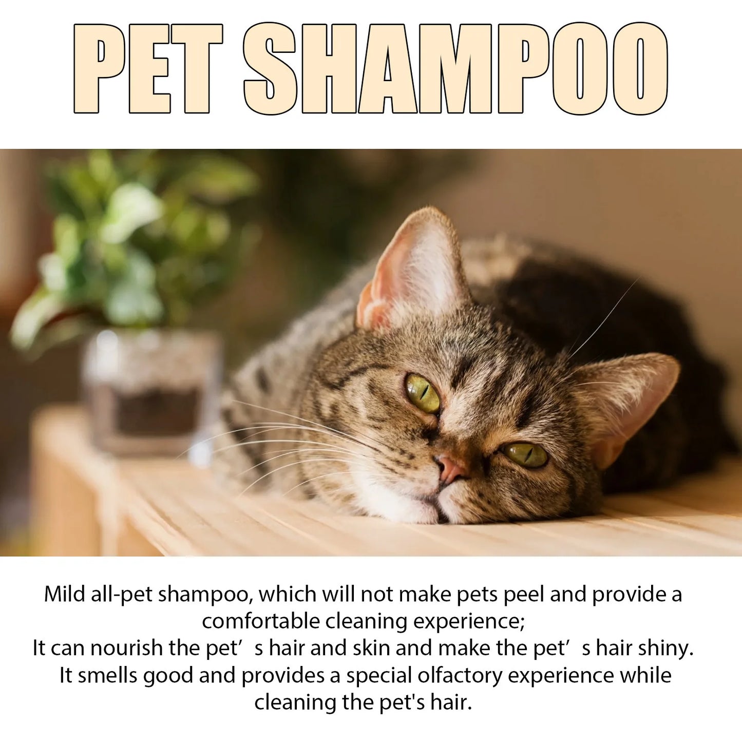 Moisturizing Flea and Itch Relief Shampoo