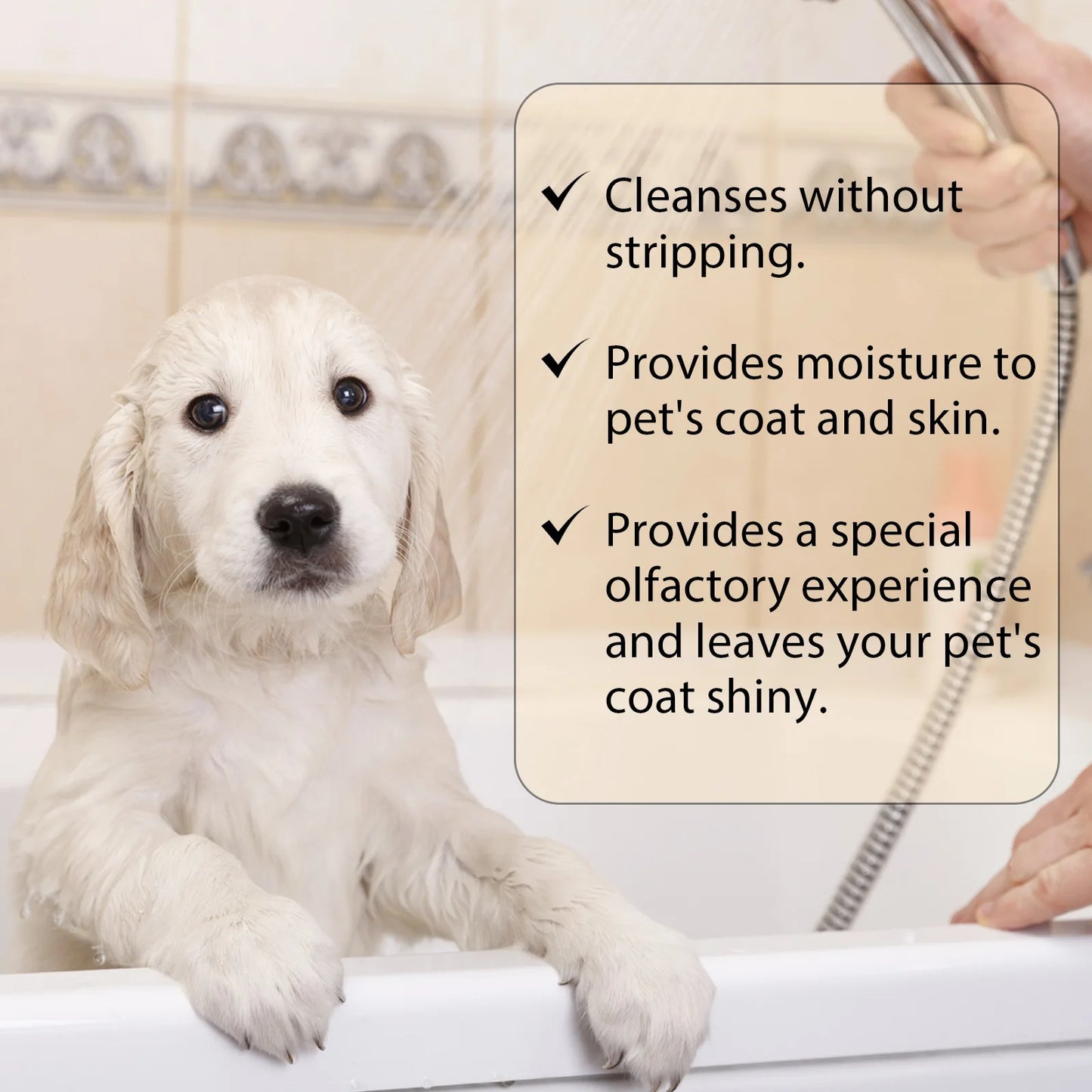 Moisturizing Flea and Itch Relief Shampoo
