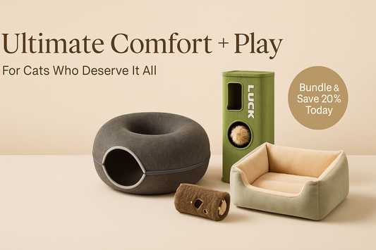 Cozy Cat Playtime Bundle – Save 20%!