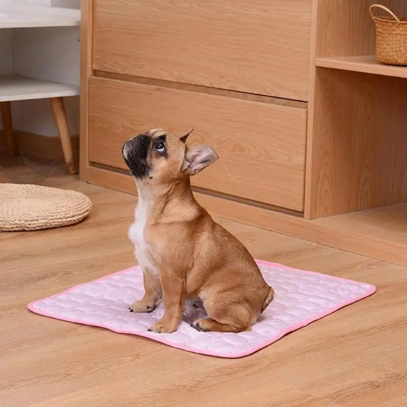Cooling Summer Pet Mat and Blanket Pad