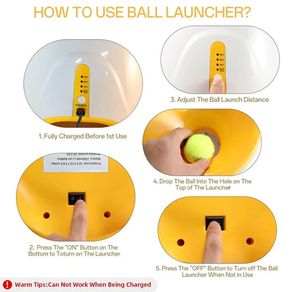 Automatic Ball Launcher Toy