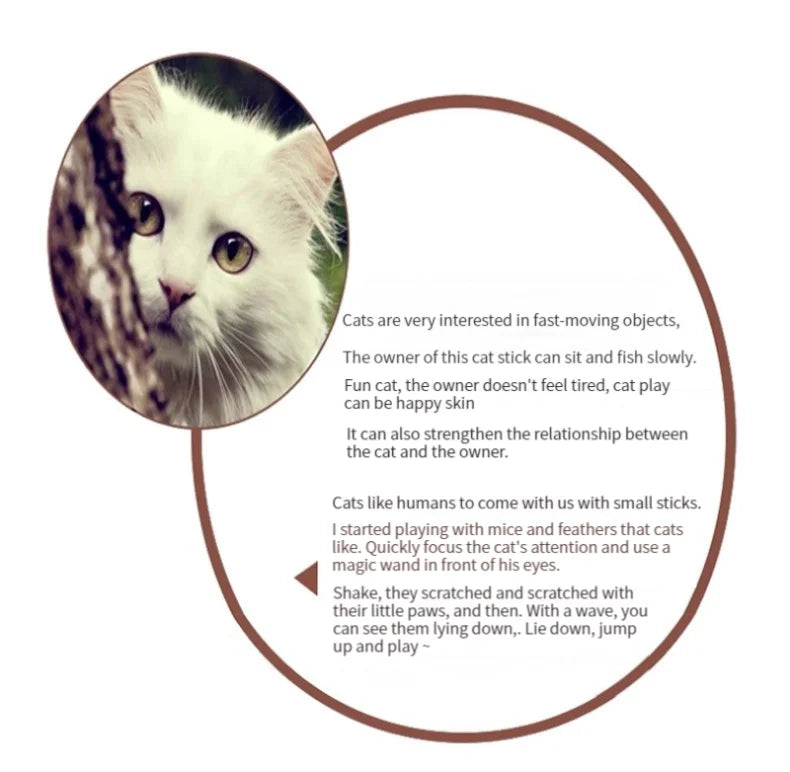 11 Piece Cat Feather Toy Replacement Set