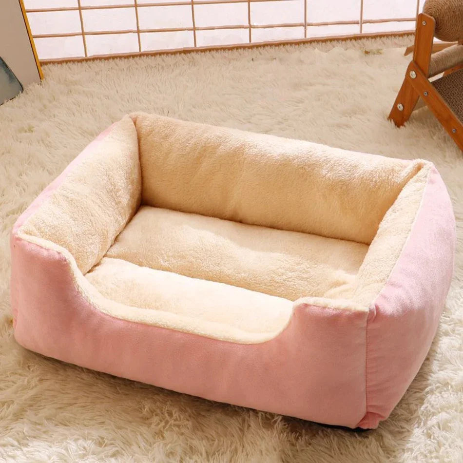 Cushioned Bed for Cats and Dogs