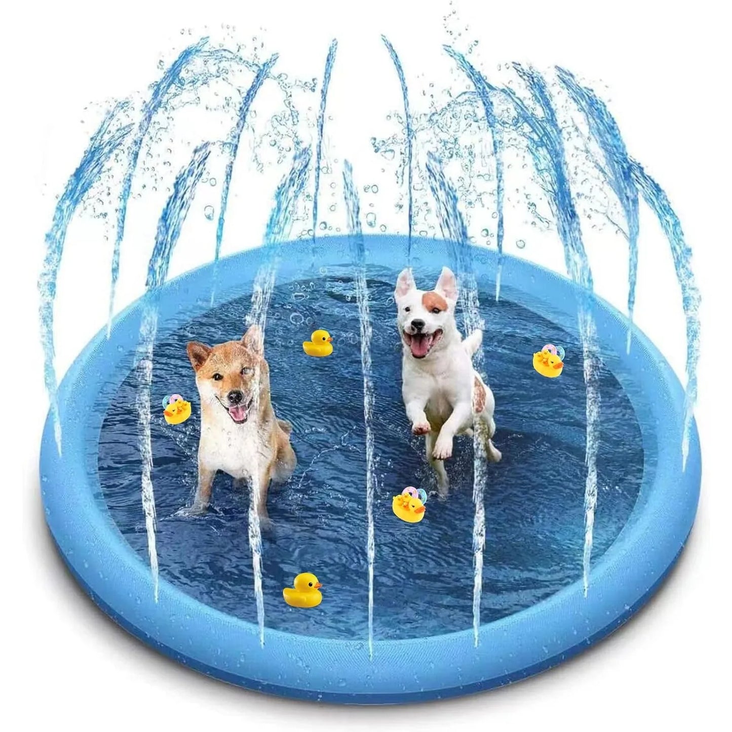 Inflatable Summer Pet Swimming Pool and Fountain