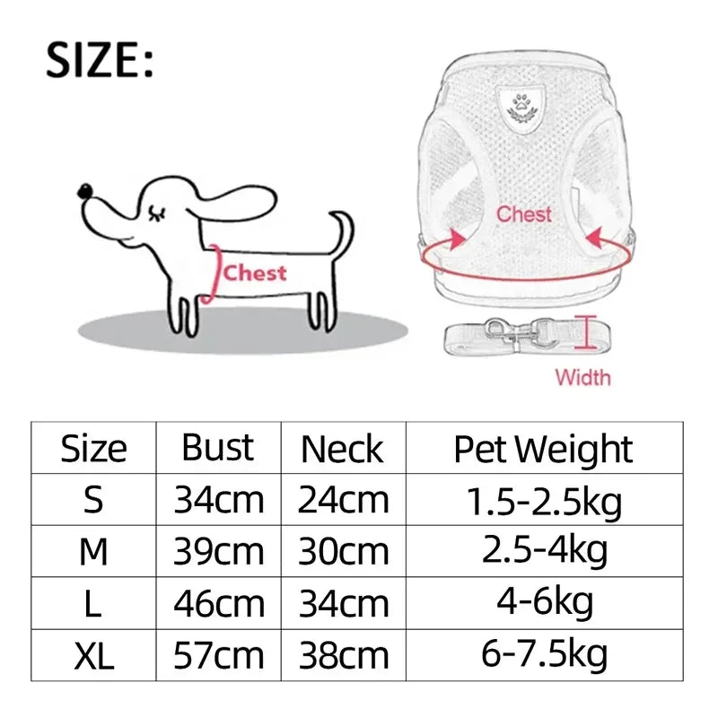 Adjustable Mesh Harness Vest and Leash Set