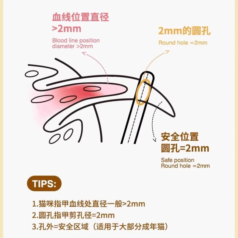 Teddy Bear Design Cat Nail Clippers Set