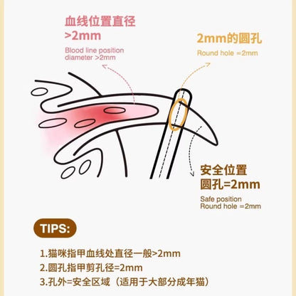 Teddy Bear Design Cat Nail Clippers Set