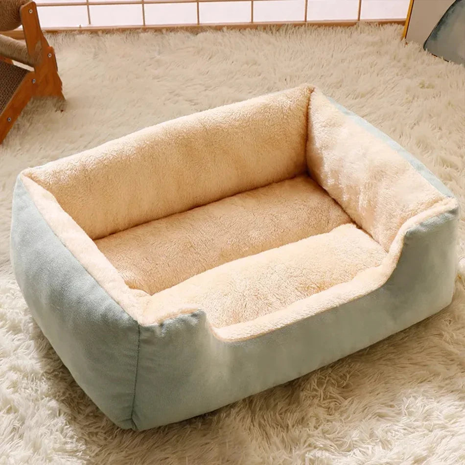 Cushioned Bed for Cats and Dogs