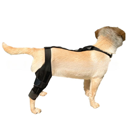 Dog Leg Support Brace (Knee Hip Joint)