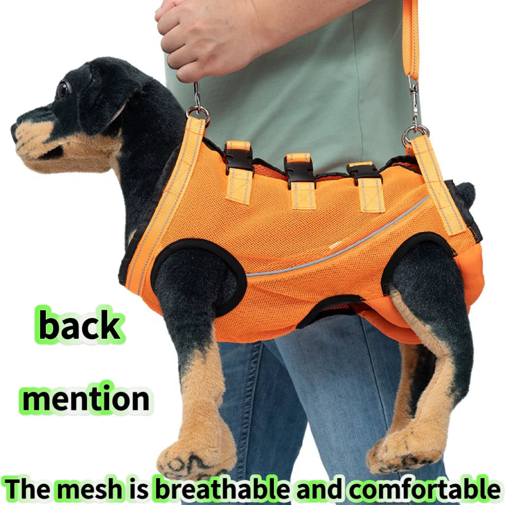 Rehabilitation Sling Carrier with Padded Straps | Breathable Hip Support for Hind Legs