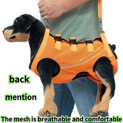 Rehabilitation Sling Carrier with Padded Straps | Breathable Hip Support for Hind Legs