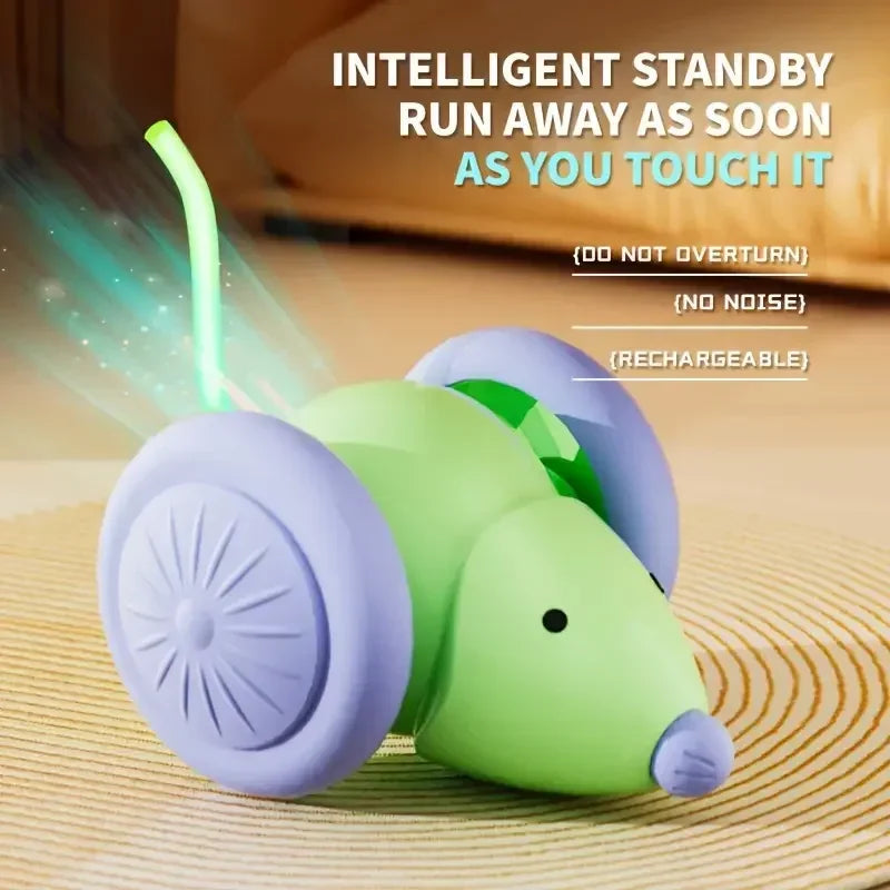 Interactive Electric Mouse Car Teaser Toy