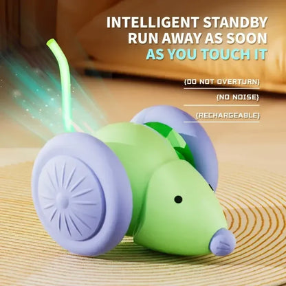 Interactive Electric Mouse Car Teaser Toy