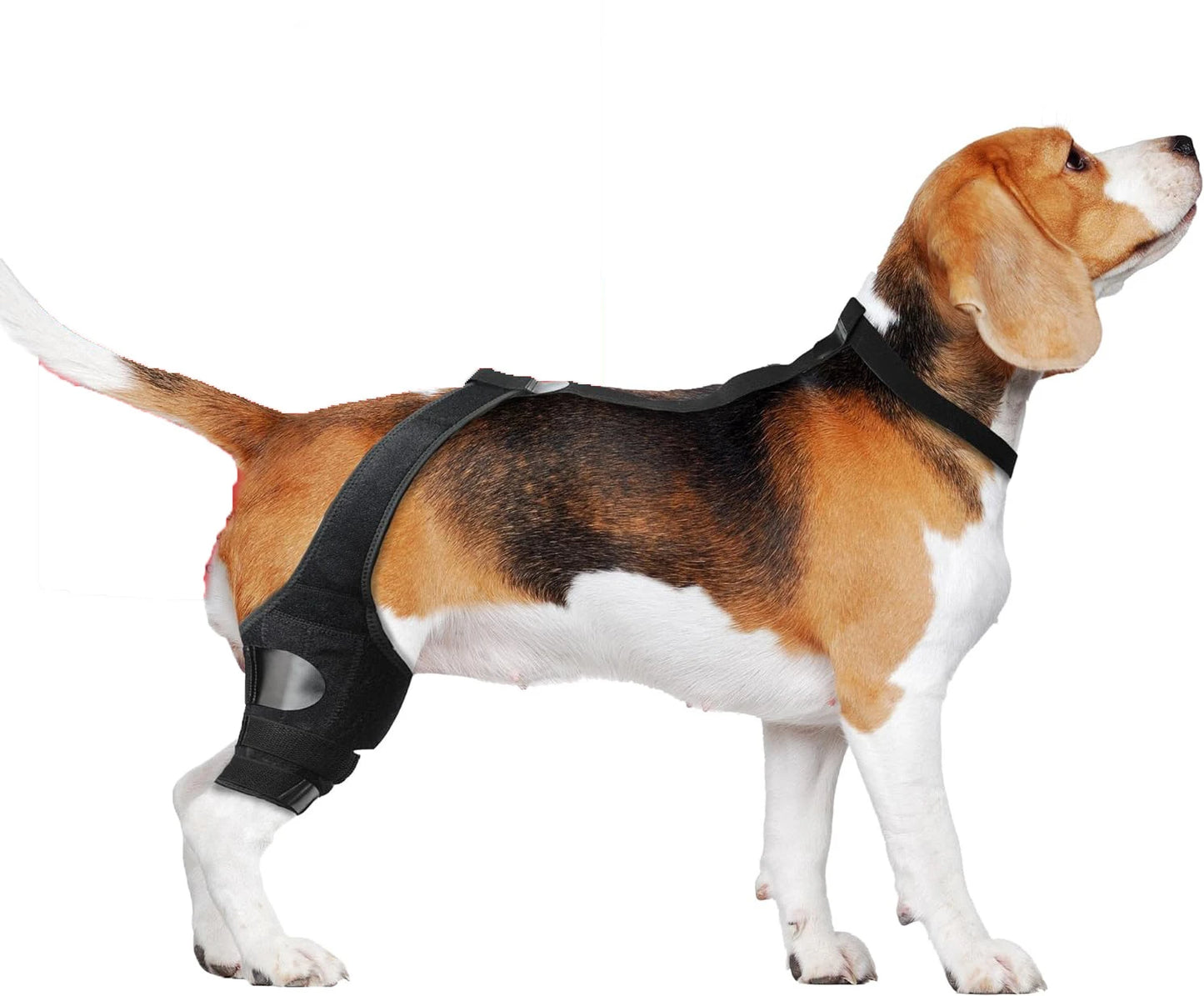 Dog Leg Support Brace (Knee Hip Joint)