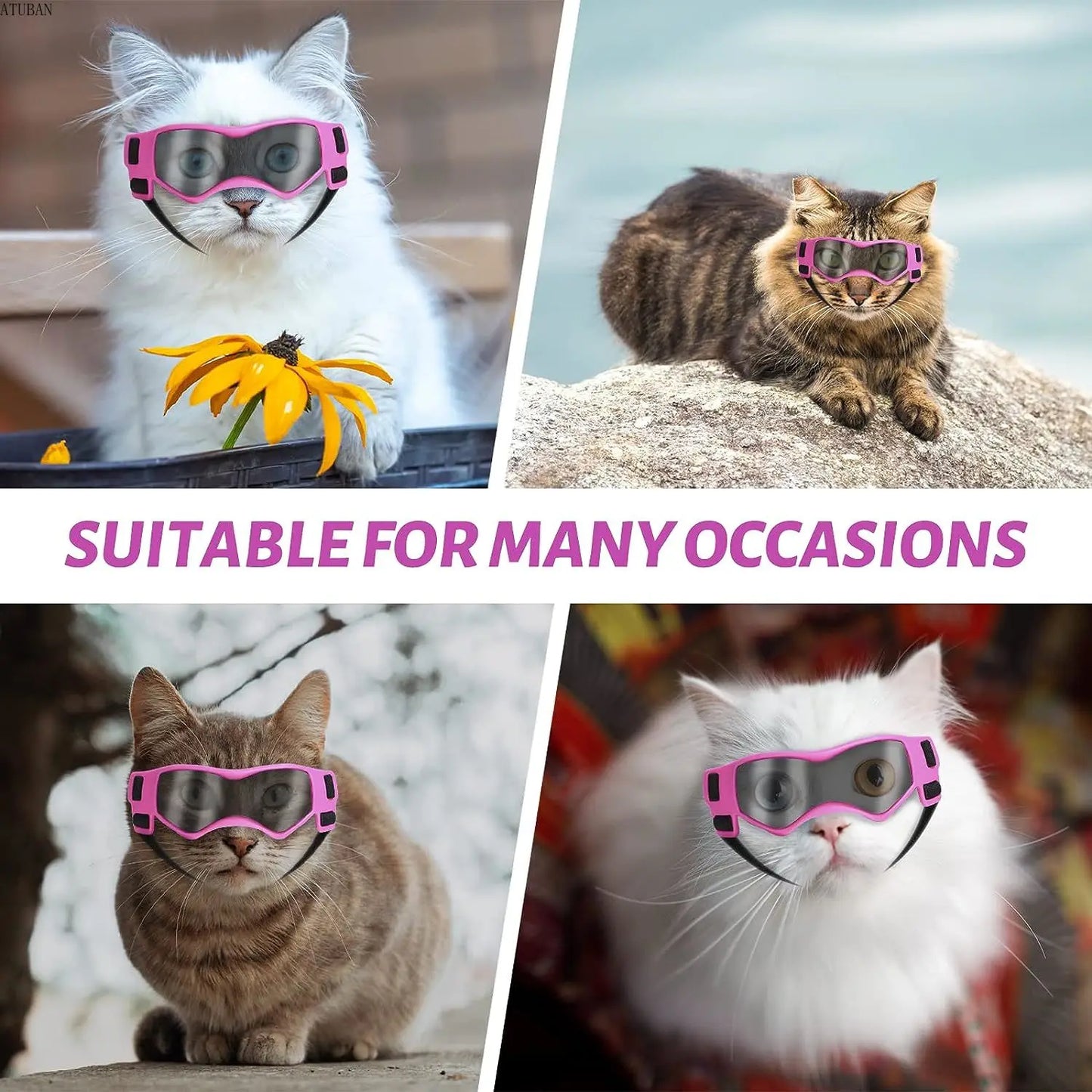 Pet UV Protector Sunglasses