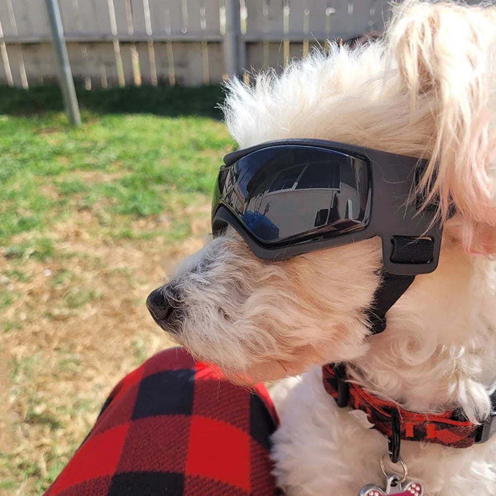 Stylish UV Protection Sunglasses for Small Breeds