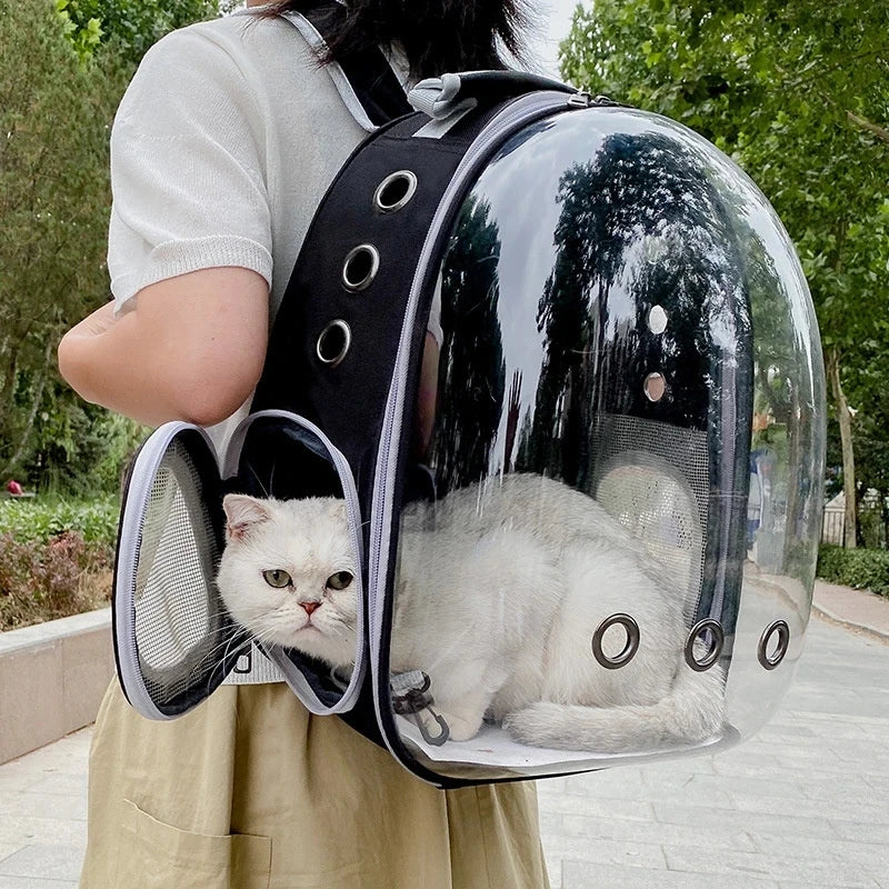 Breathable And Portable Transparent Pet Backpack