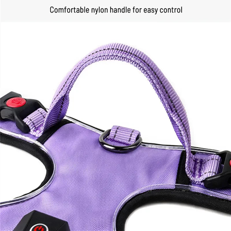 Luminous Dog Harnesses with Three LED Light Modes [Rechargeable]