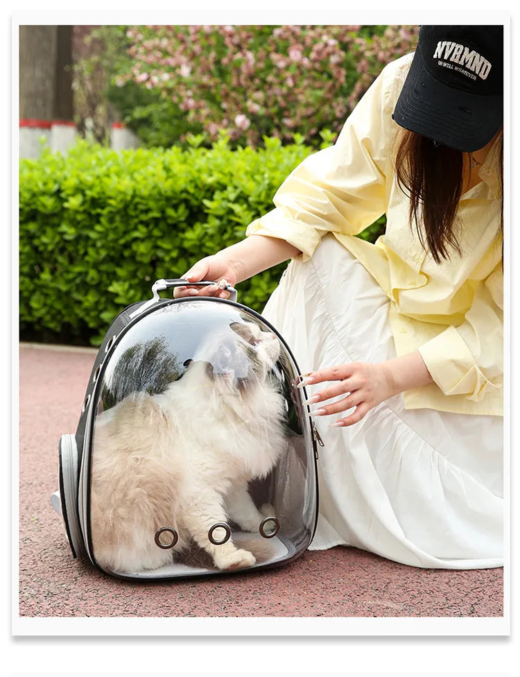 PurView Pro Transparent Cat Backpack - As seen in Argylle