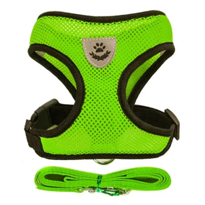 Adjustable Mesh Harness Vest and Leash Set