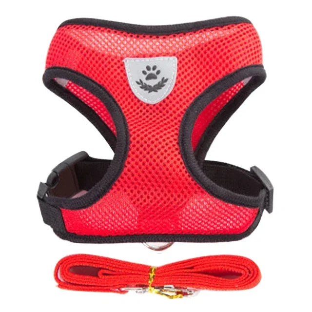 Adjustable Mesh Harness Vest and Leash Set
