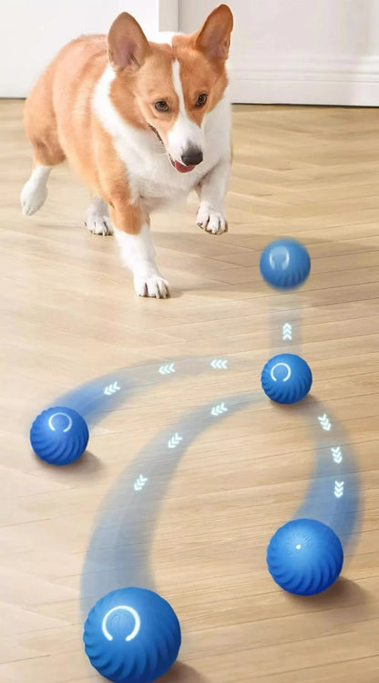 Automatic Interactive Jumping Dog Toy Ball