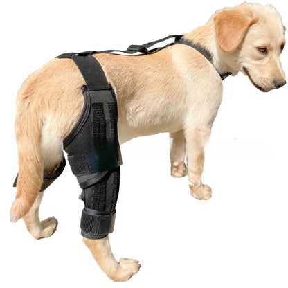 Dog Leg Support Brace (Knee Hip Joint)
