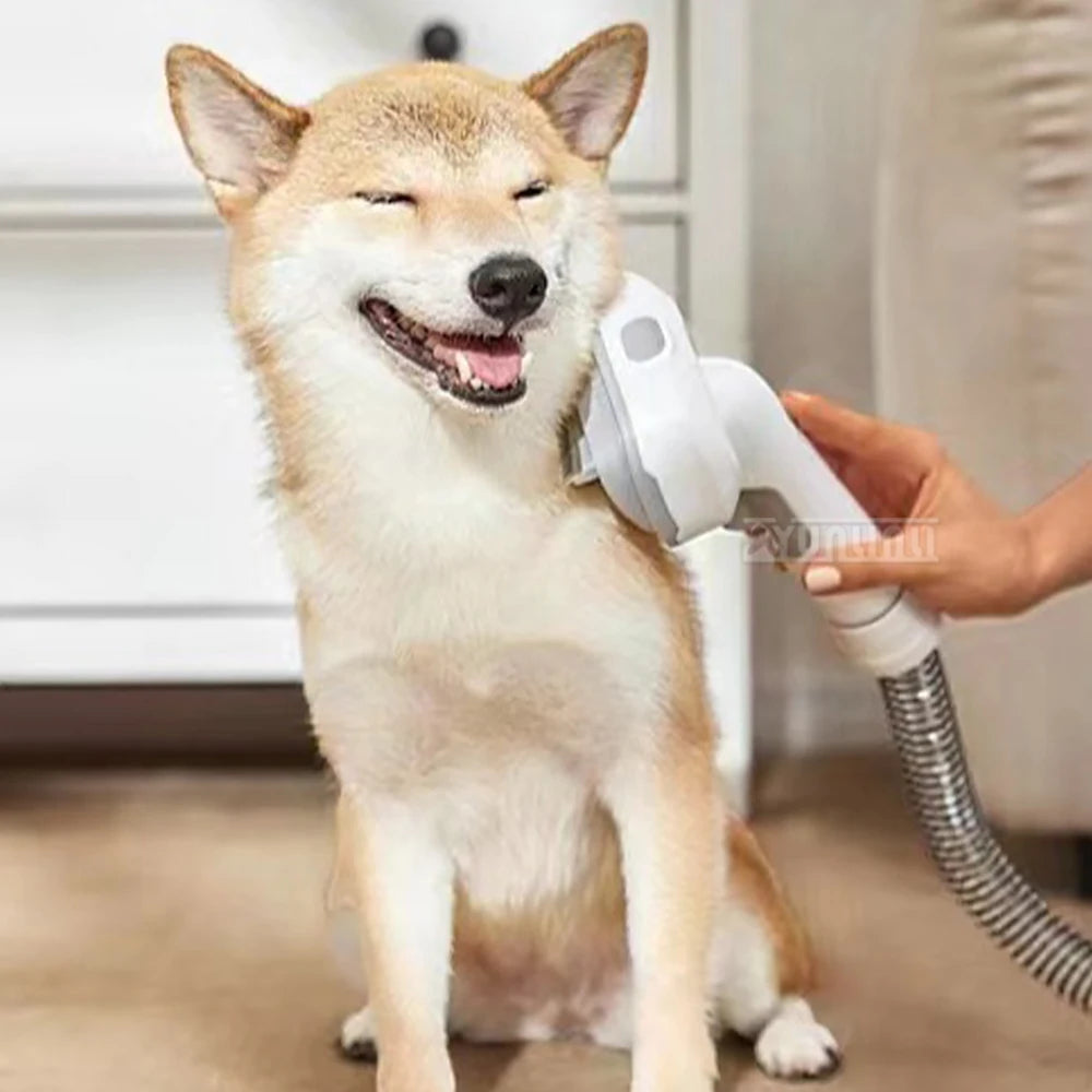 Electrique Dog Grooming Kit Comb Household Pet Wireless Hair Aspirateur Vacuum Suction Force Pet Aspirateur Electrique