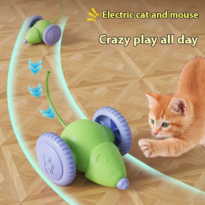 Interactive Electric Mouse Teaser Toy for Pets
