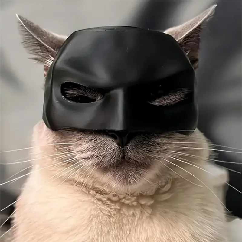 Cat Avenger Mask Toy for Playful Fun