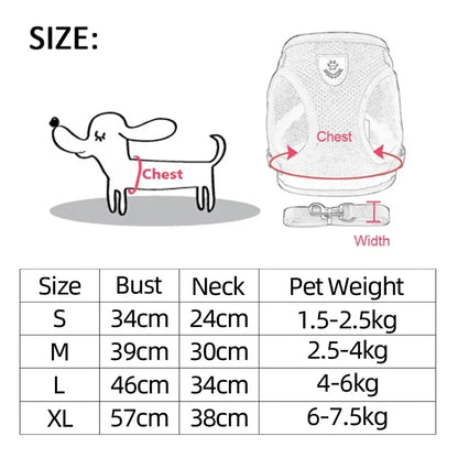 Adjustable Mesh Harness Vest with Leash Set
