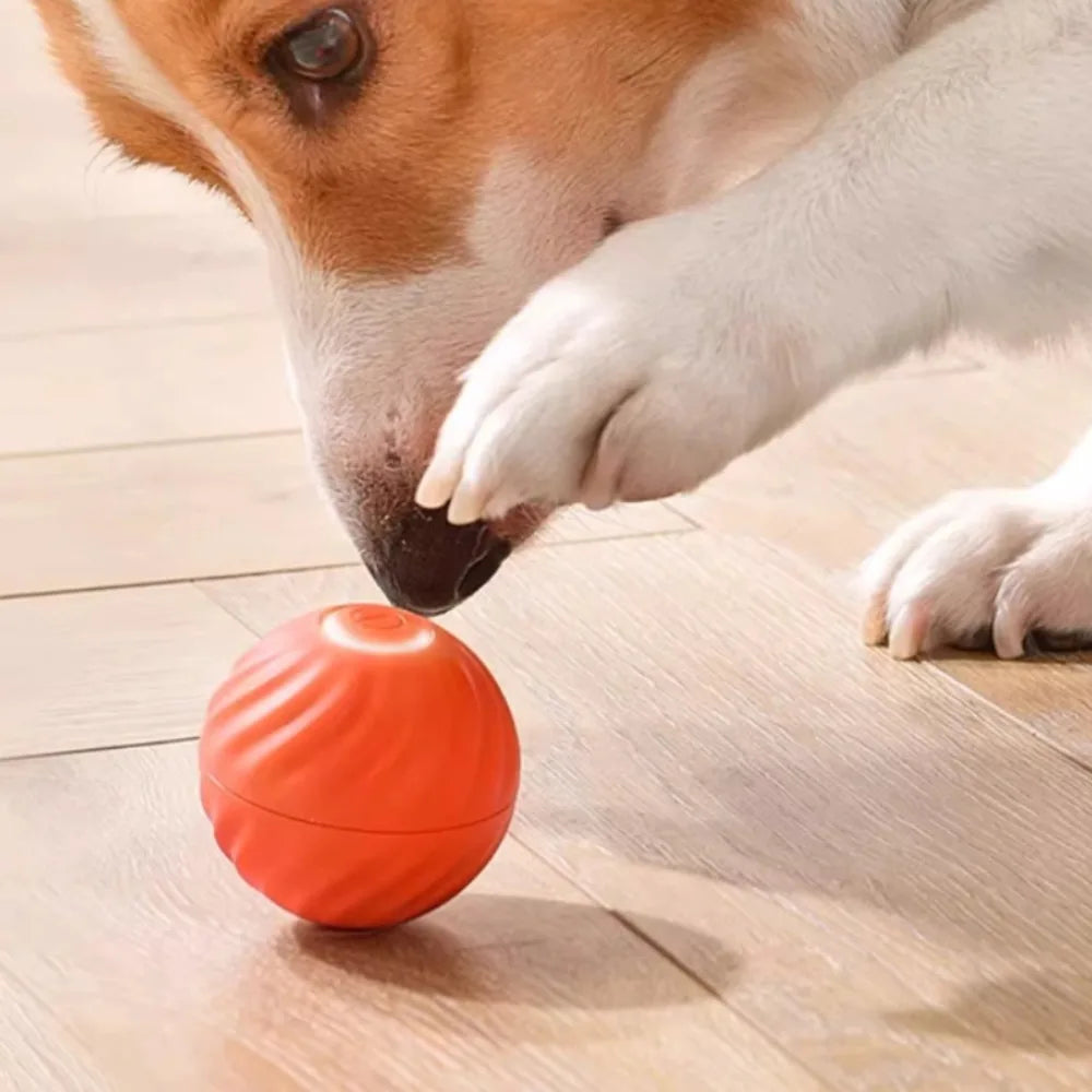 Automatic Interactive Jumping Dog Toy Ball