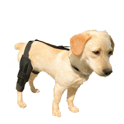 Dog Leg Support Brace (Knee Hip Joint)
