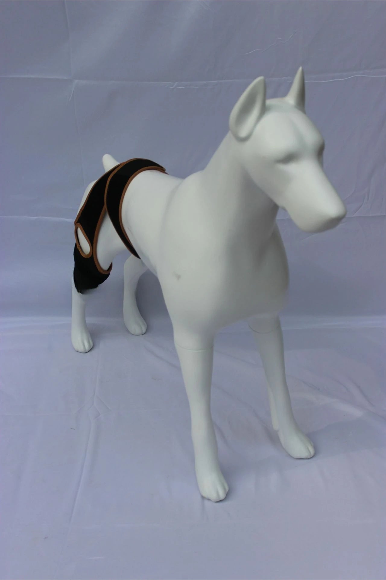 Dog Leg Support Brace (Knee Hip Joint)