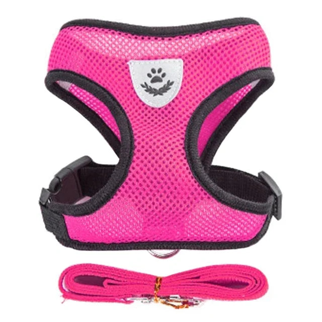 Adjustable Mesh Harness Vest with Leash Set