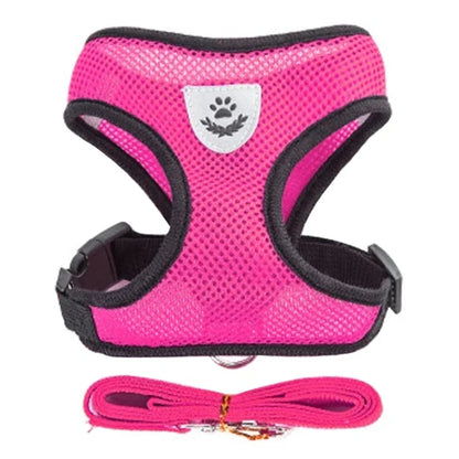 Adjustable Mesh Harness Vest with Leash Set