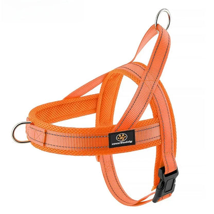 Explosion Proof Breathable Dog Leash and Vest