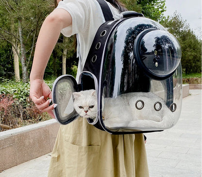 Breathable And Portable Transparent Pet Backpack